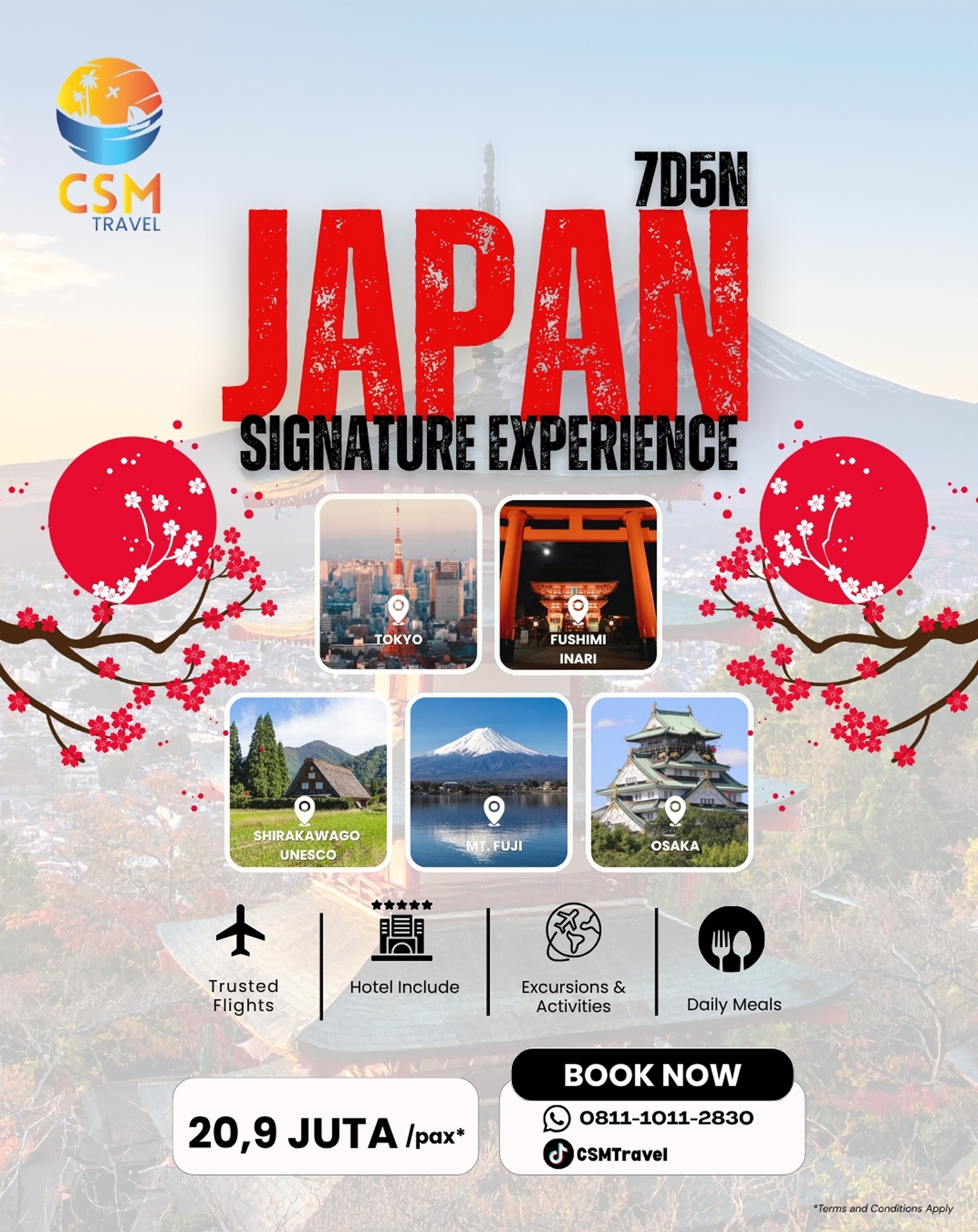 Japan tour promo