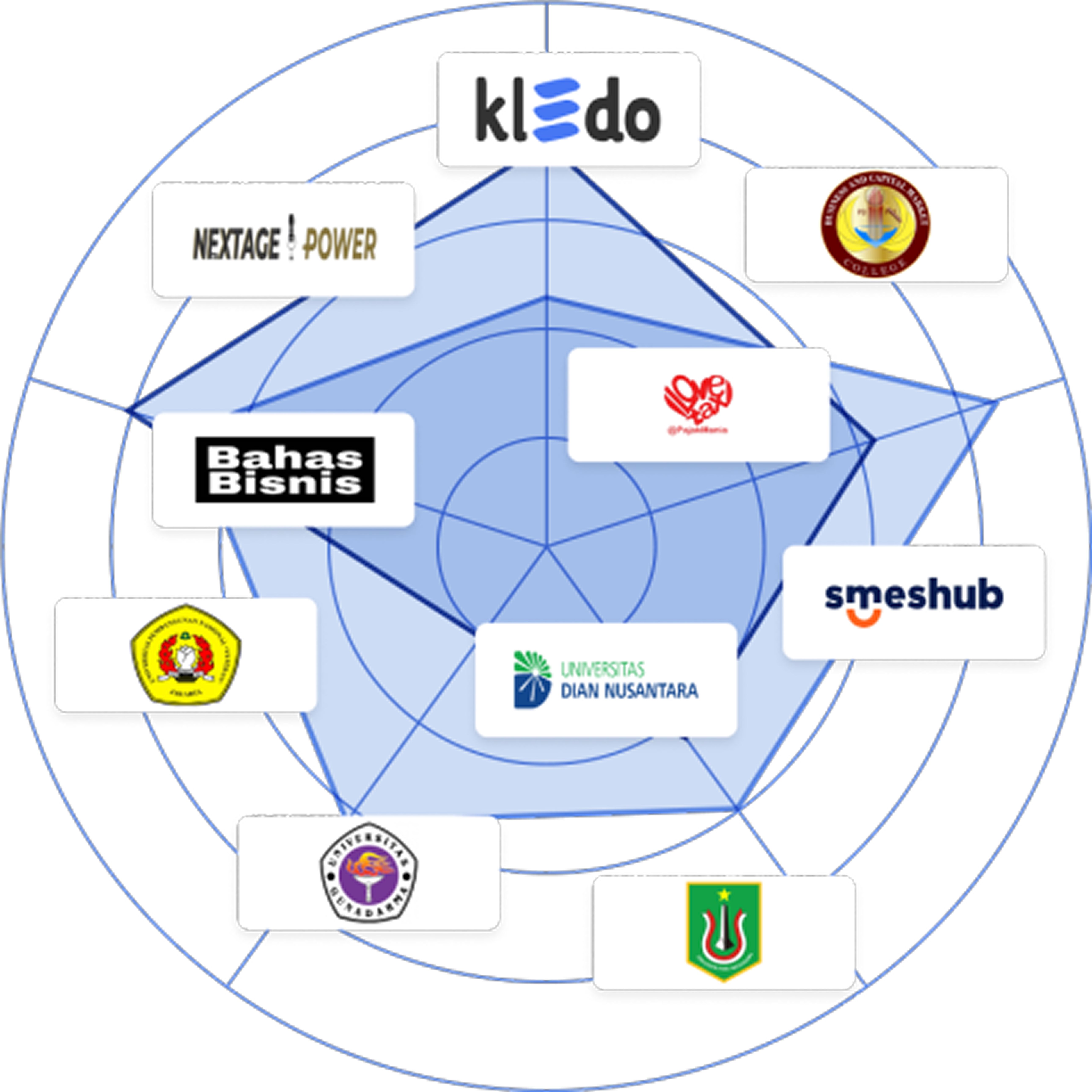 Visiku partner network radar 1