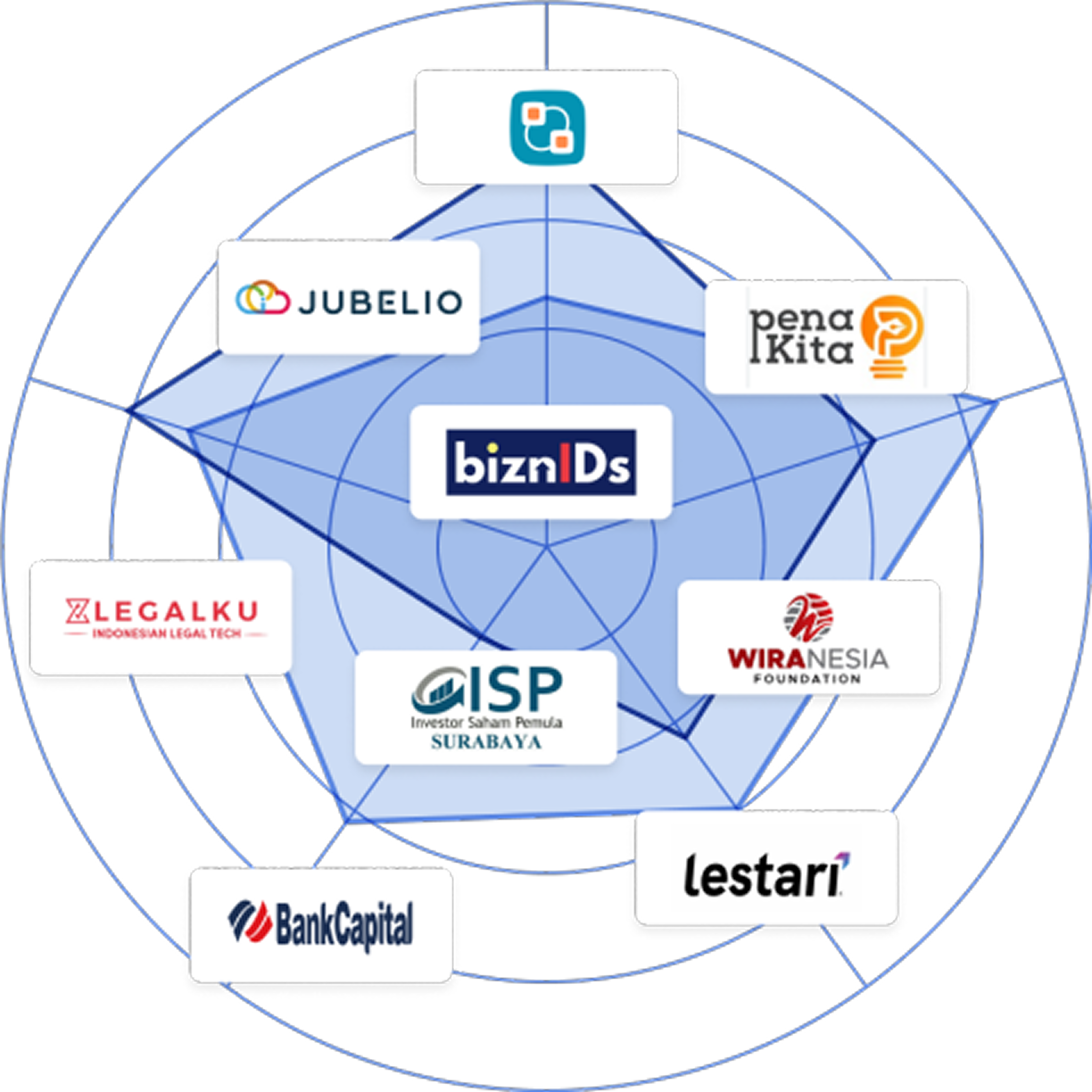 Visiku partner network radar 3