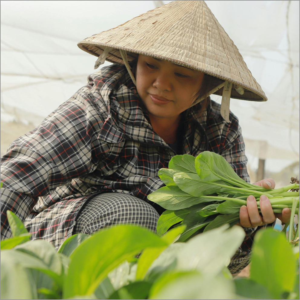 Farmer